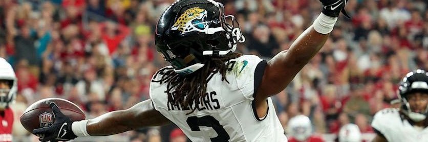 Dom♐️🫡🐆 banner