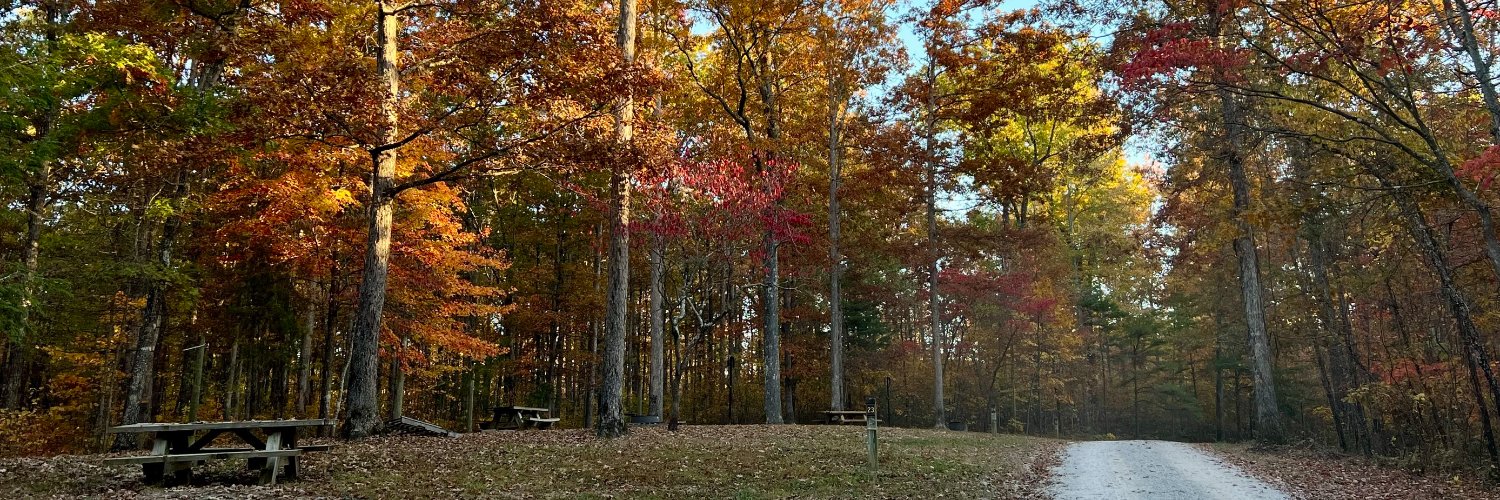 Daniel Boone NF banner