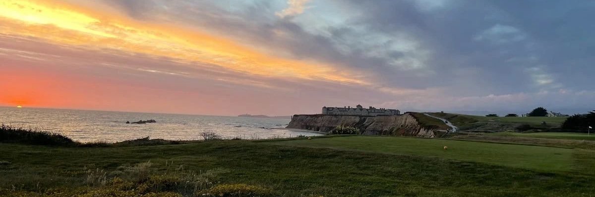 야자수🌴 banner