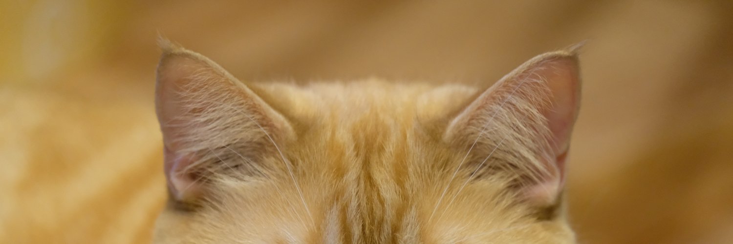 okara_com's profile banner image