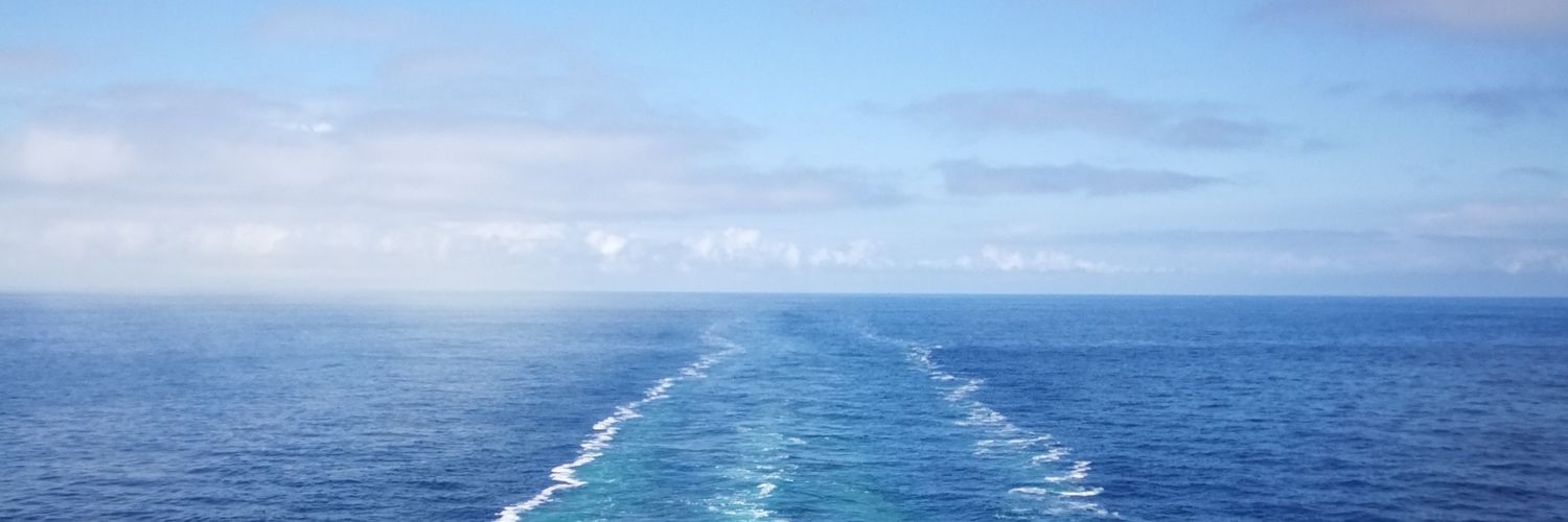 NichSl's profile banner image