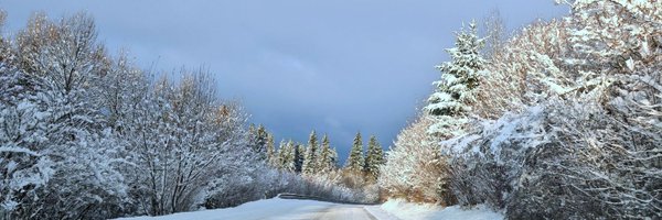 K_Nadi_ Profile Banner