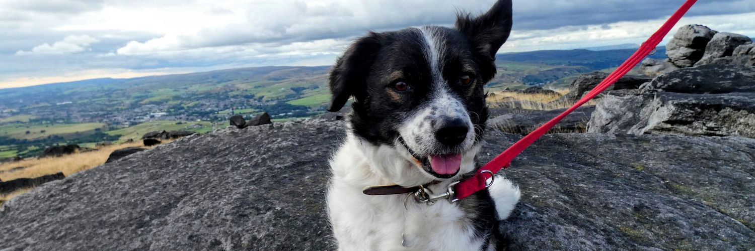 🌈🙏 Reverend Canon Catherine D Binns banner