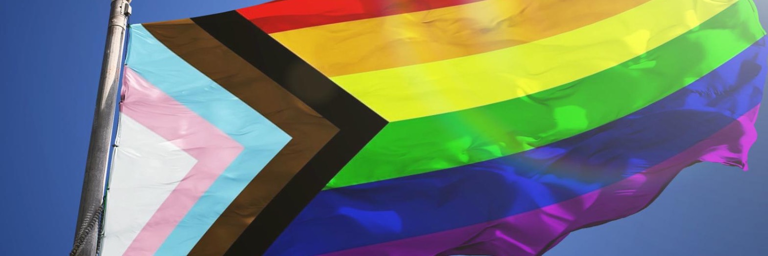 Health Care Advocates International banner