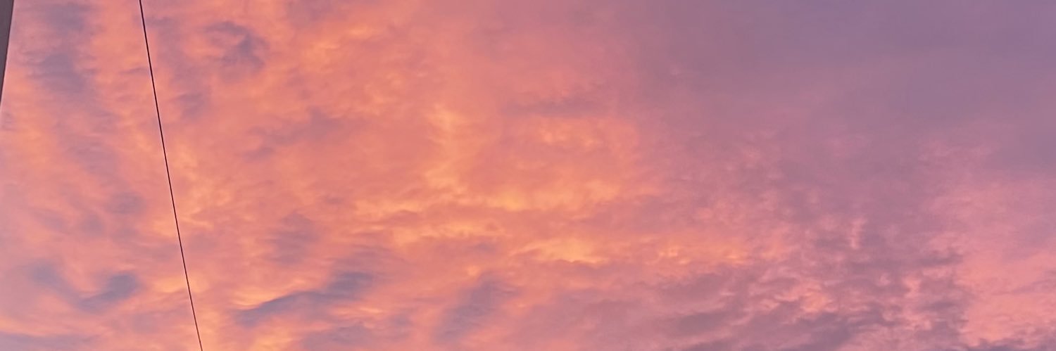 inesxputh's profile banner image