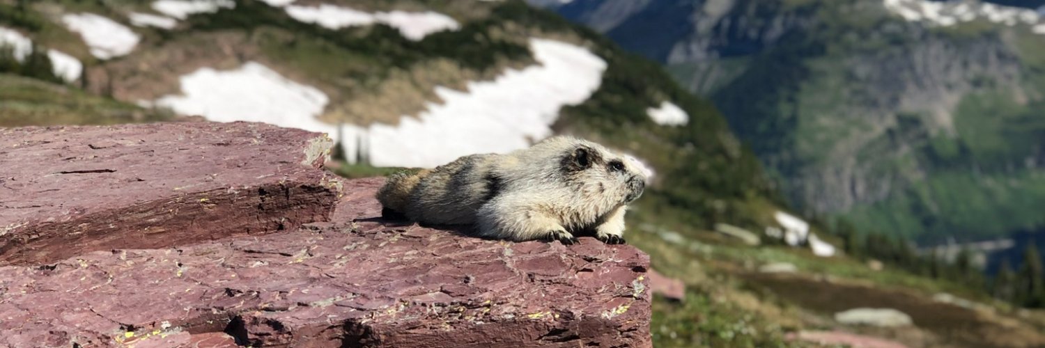 Meghan McDonough banner