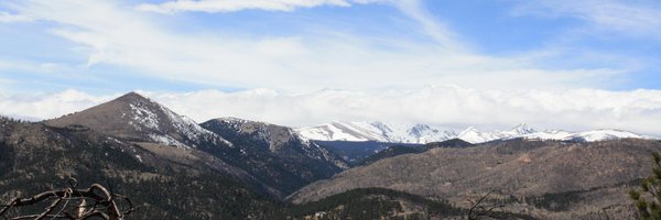 ChristineLJax Profile Banner