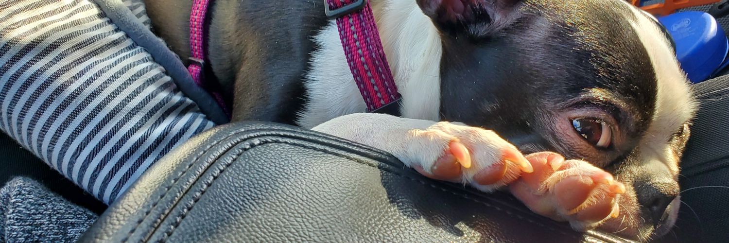 bjorks32's profile banner image