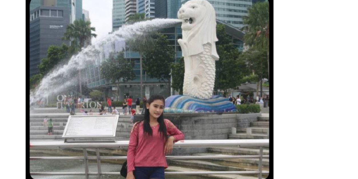 DwiSepseptiani's profile banner image