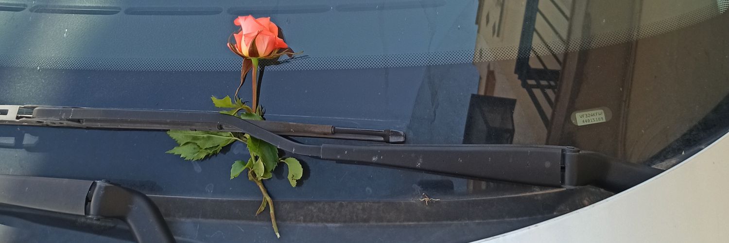 manolipani's profile banner image