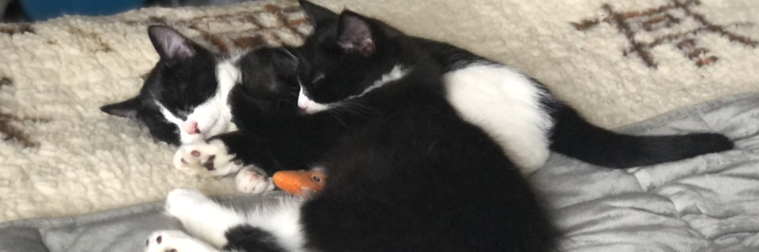 Lucy E Eldridge RD banner