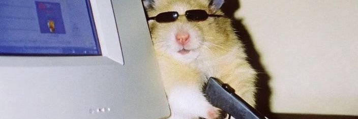 claraskz1's profile banner image