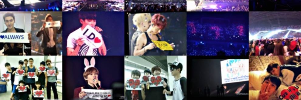 SJProject_TH banner