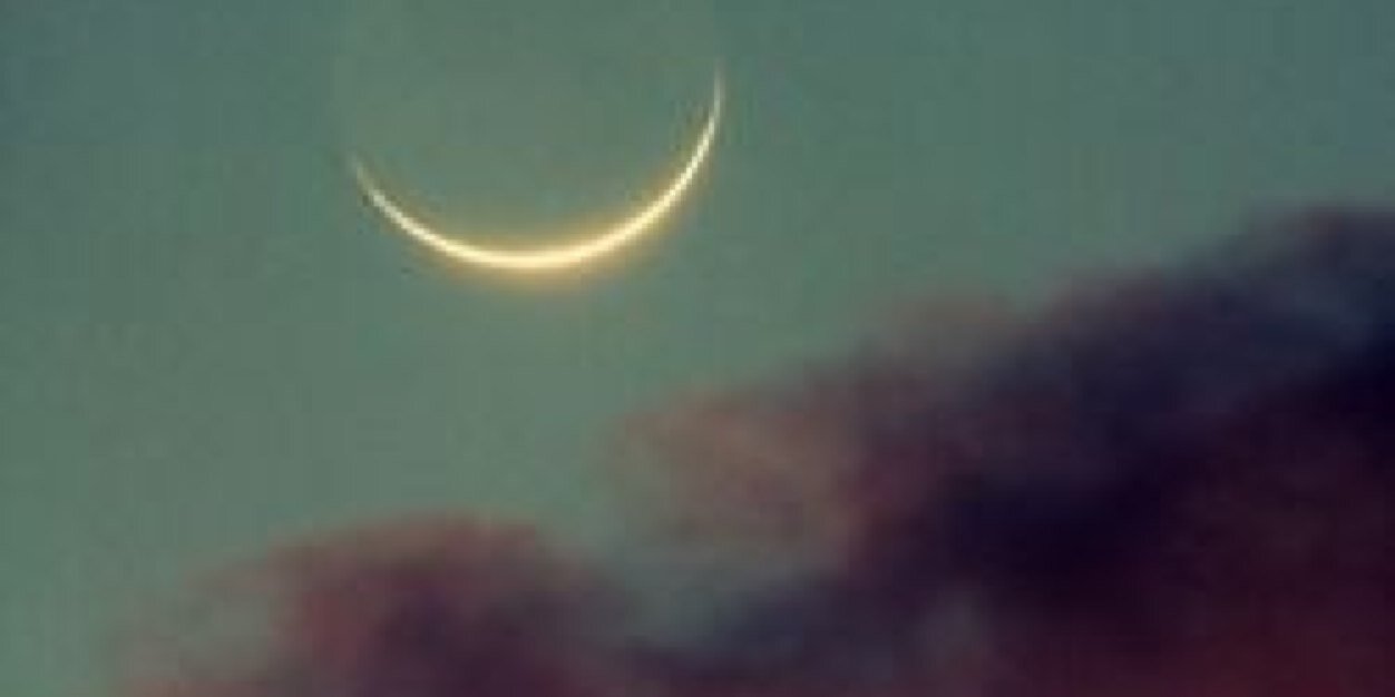hannahoc99's profile banner image