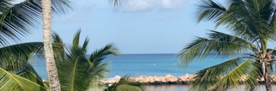 Sydneytmarshall's profile banner image