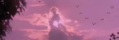 Jennifer M Everton banner