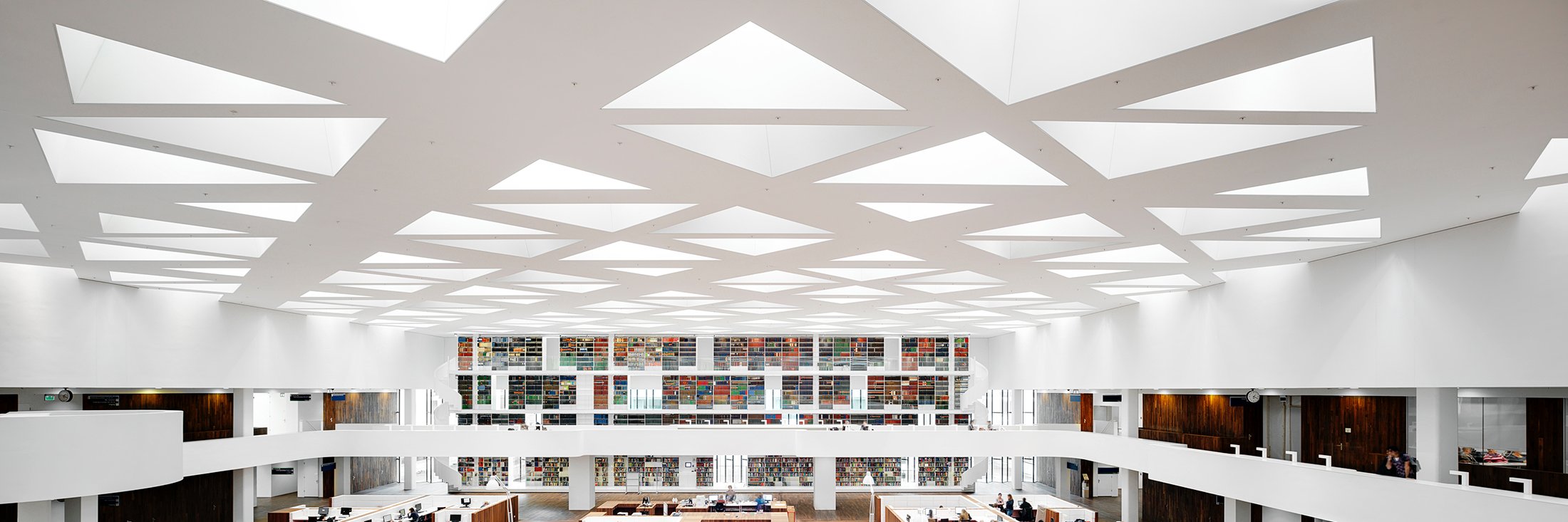 Dutch Daylight banner