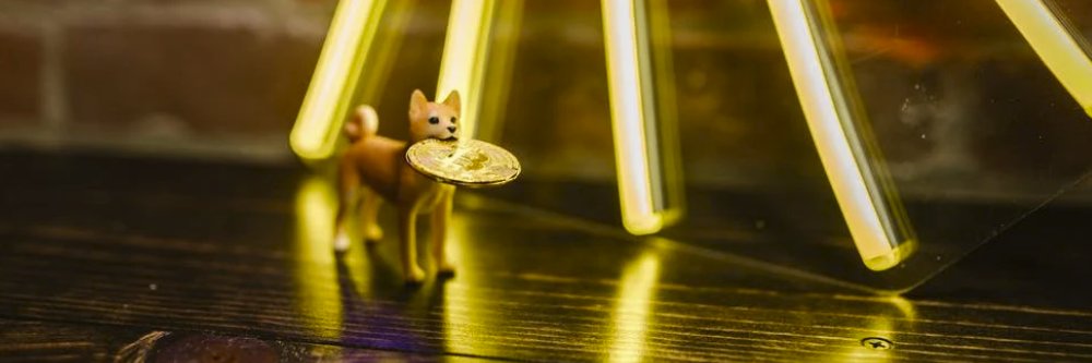 CryptocurrMedia's profile banner image