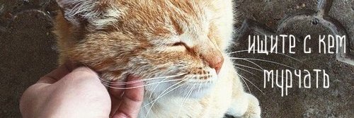 kittycrofft's profile banner image