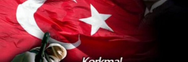 cemellimemoli Profile Banner