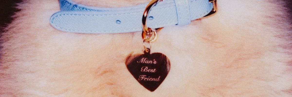 amy banner