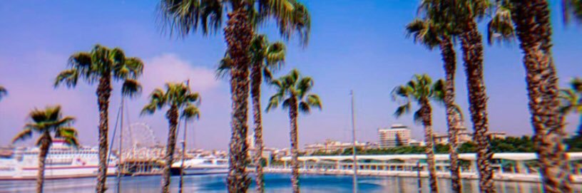 AlbaDAgro's profile banner image