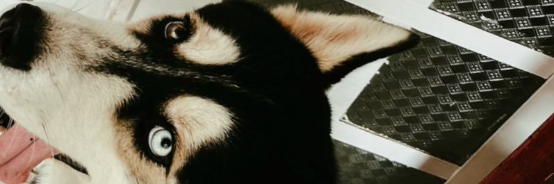 FelipeRangellll's profile banner image