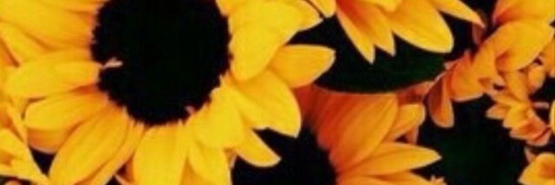 heleeniss's profile banner image
