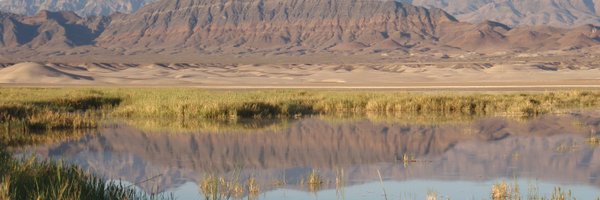 maurice_water Profile Banner