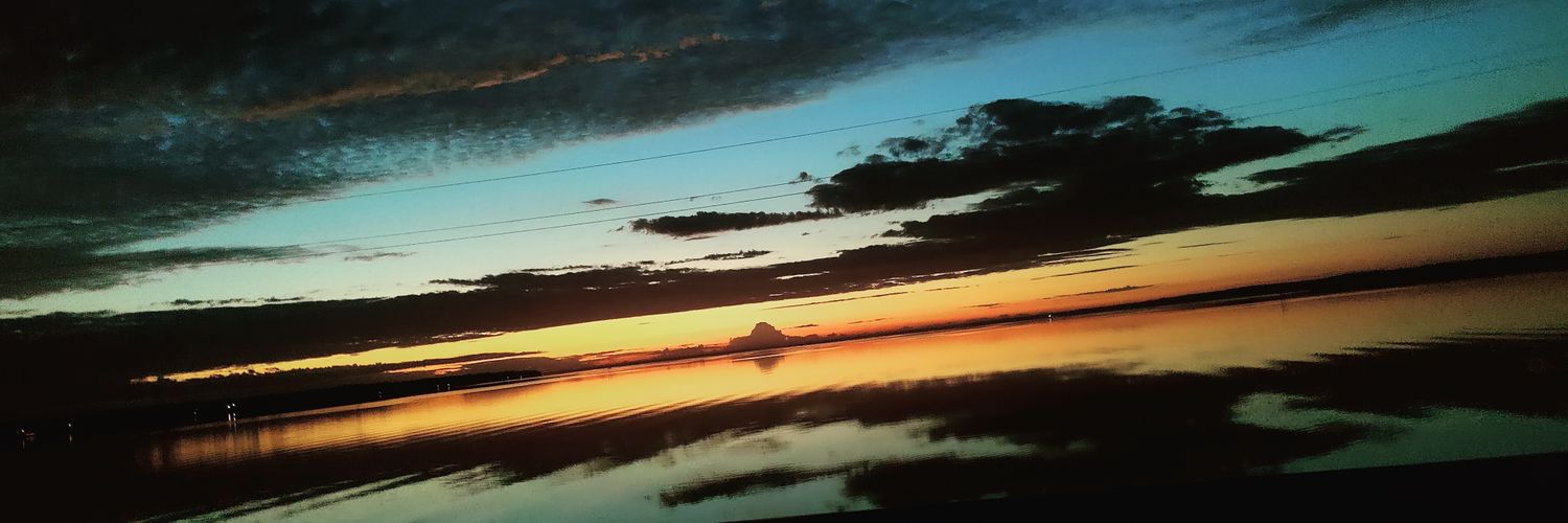 PatriotSentryK917 banner