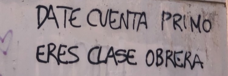 elrodri banner