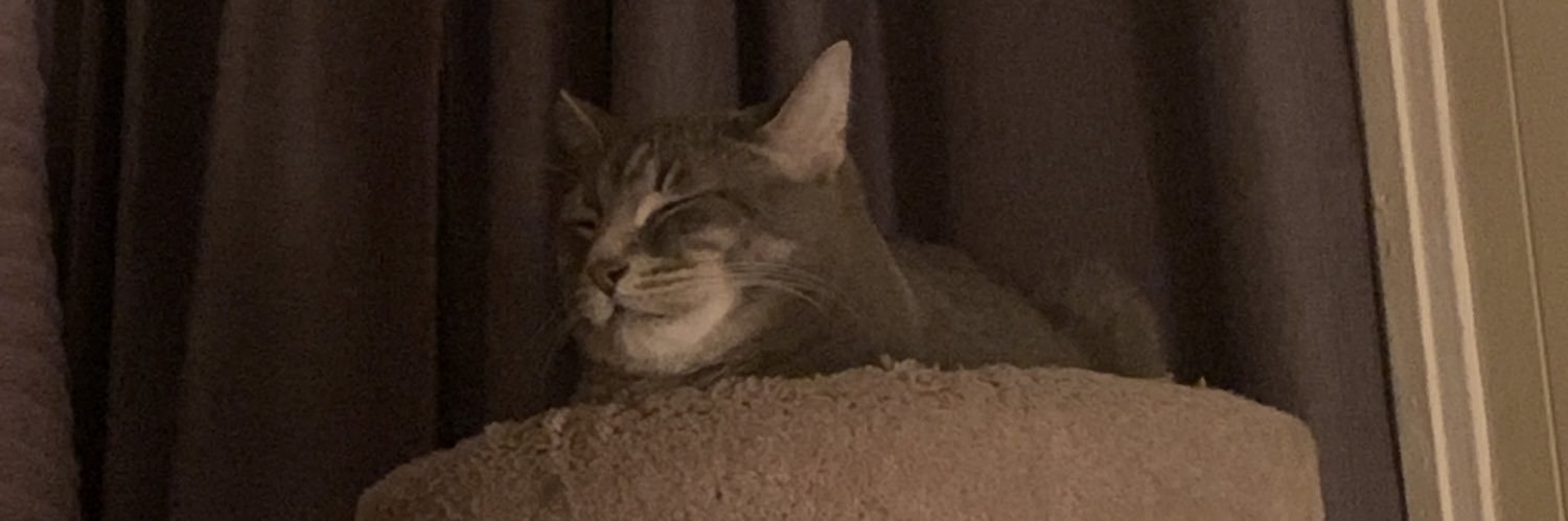 xan_drea's profile banner image