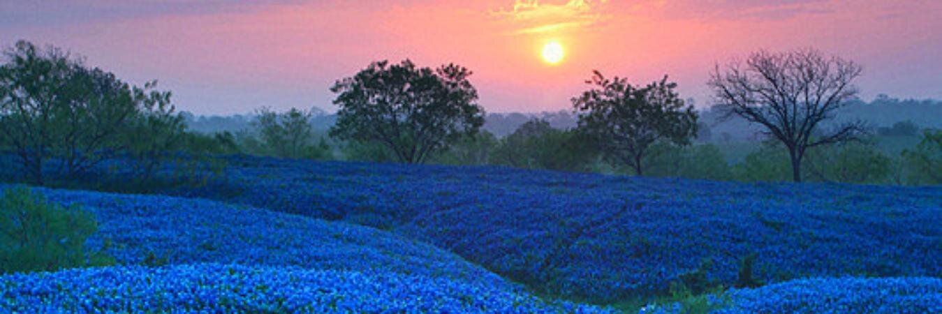 mullent's profile banner image
