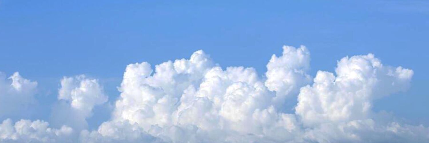 дешевая драма.⁷ (котенок по имени бля). banner