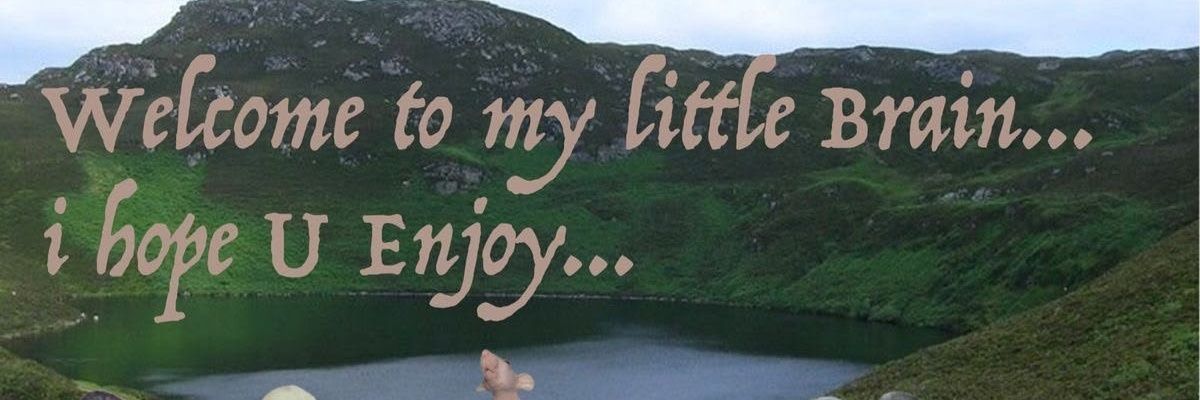 trashcanmanda's profile banner image