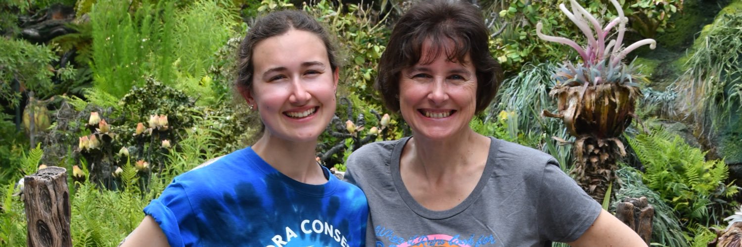 RebeccaPayer's profile banner image