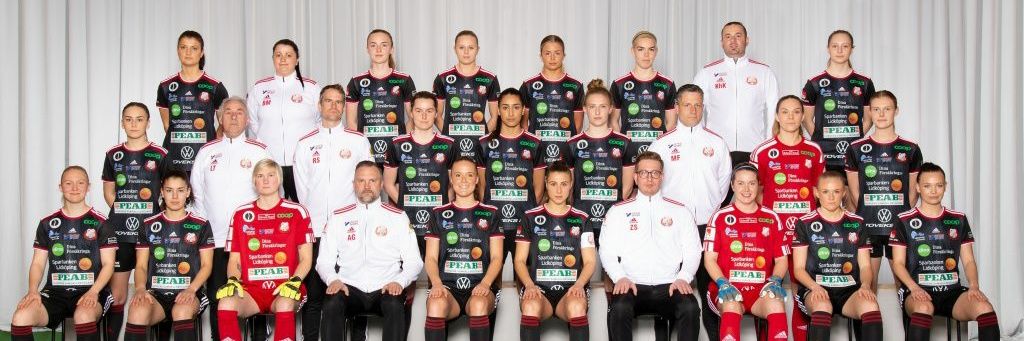 Lidköpings FK Dam banner