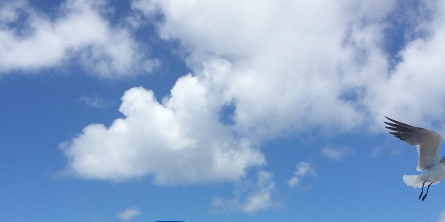 MeliMorenoPTY's profile banner image