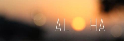 laustacey's profile banner image