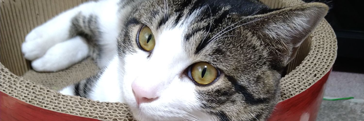 ひなみさん＠お腹すいた banner