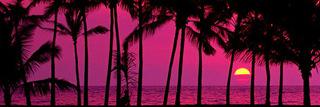 smokin360's profile banner image