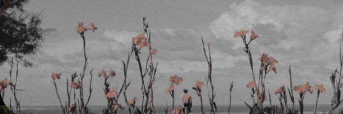Layni_michelle's profile banner image