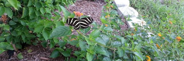 scribler Profile Banner