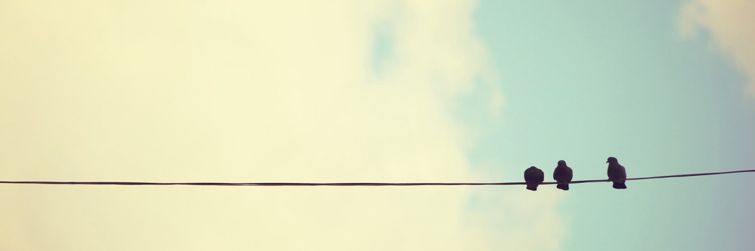 cpachs's profile banner image