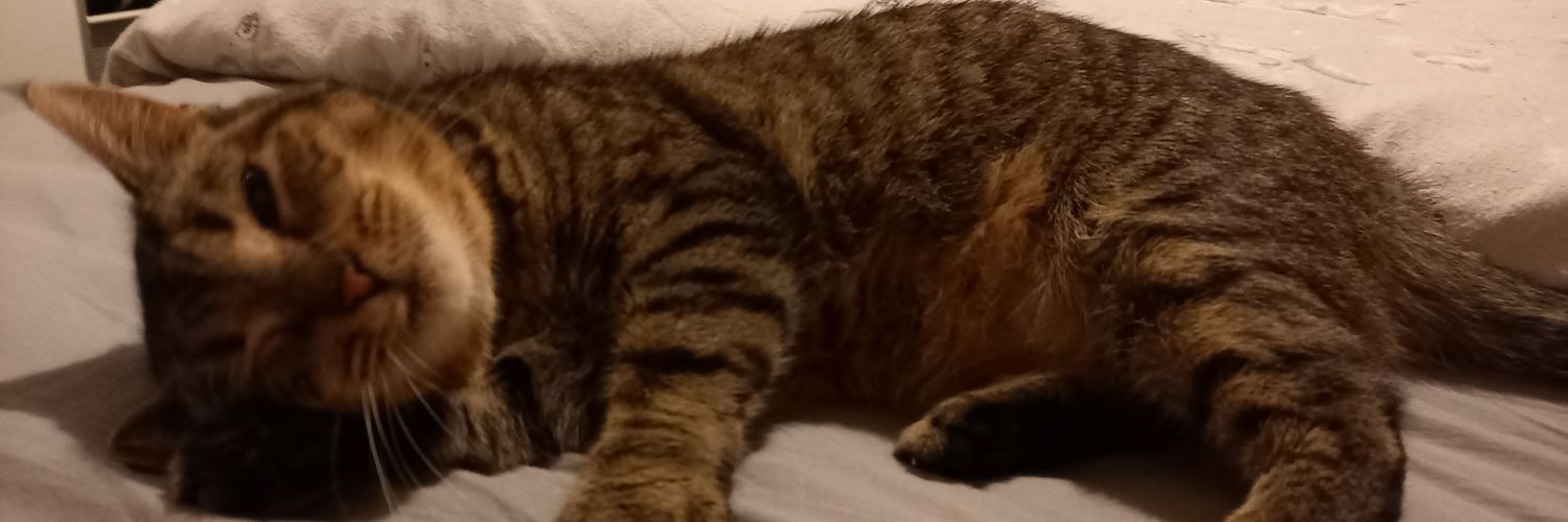 abdab28's profile banner image