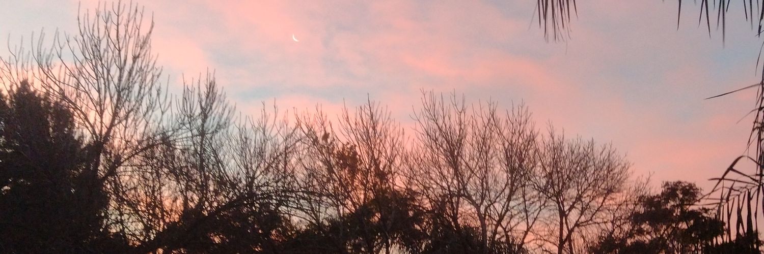Damacisterna_'s profile banner image