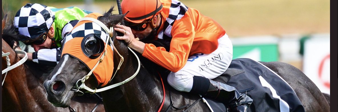 David Payne Racing banner