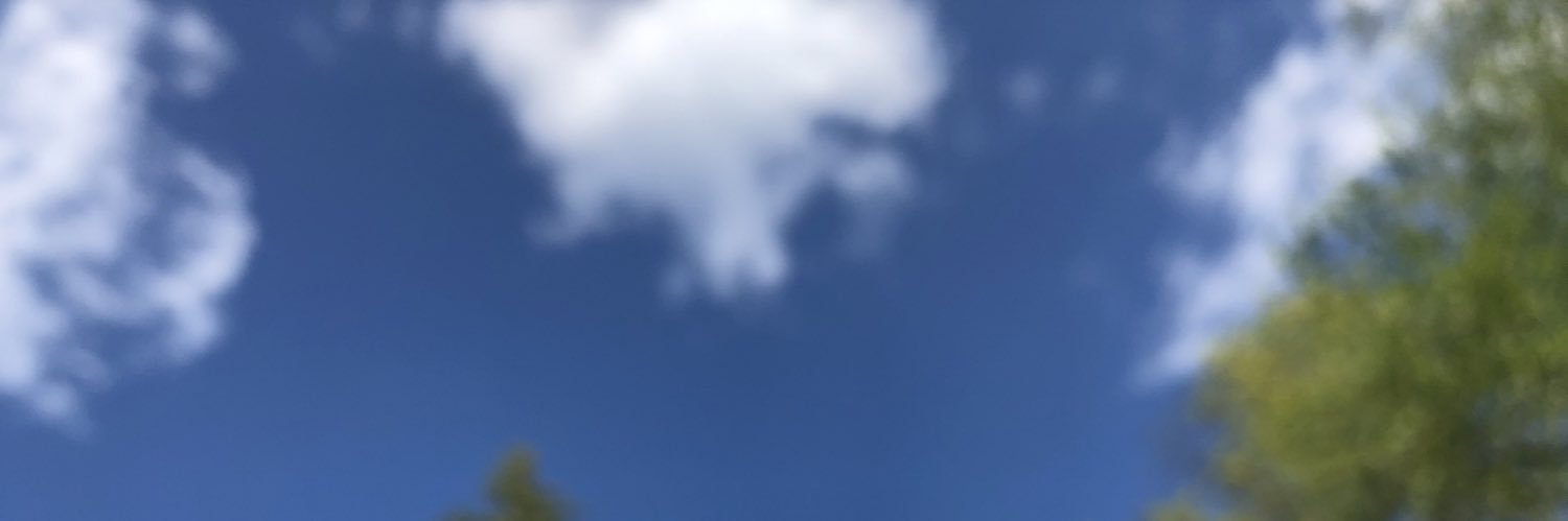 tiffanysmith's profile banner image