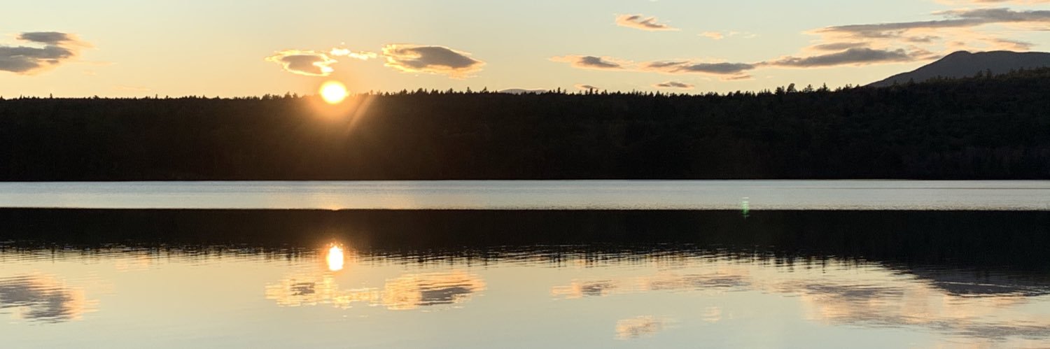 Iamdjfox's profile banner image