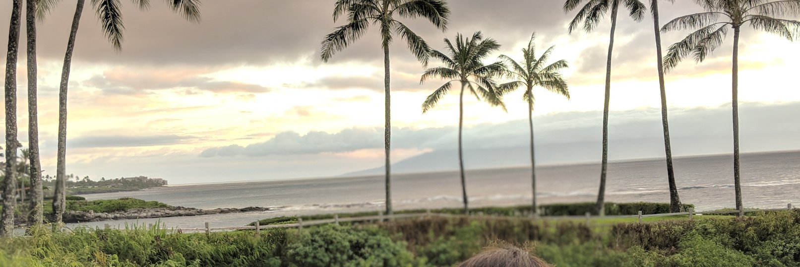 reachbp's profile banner image